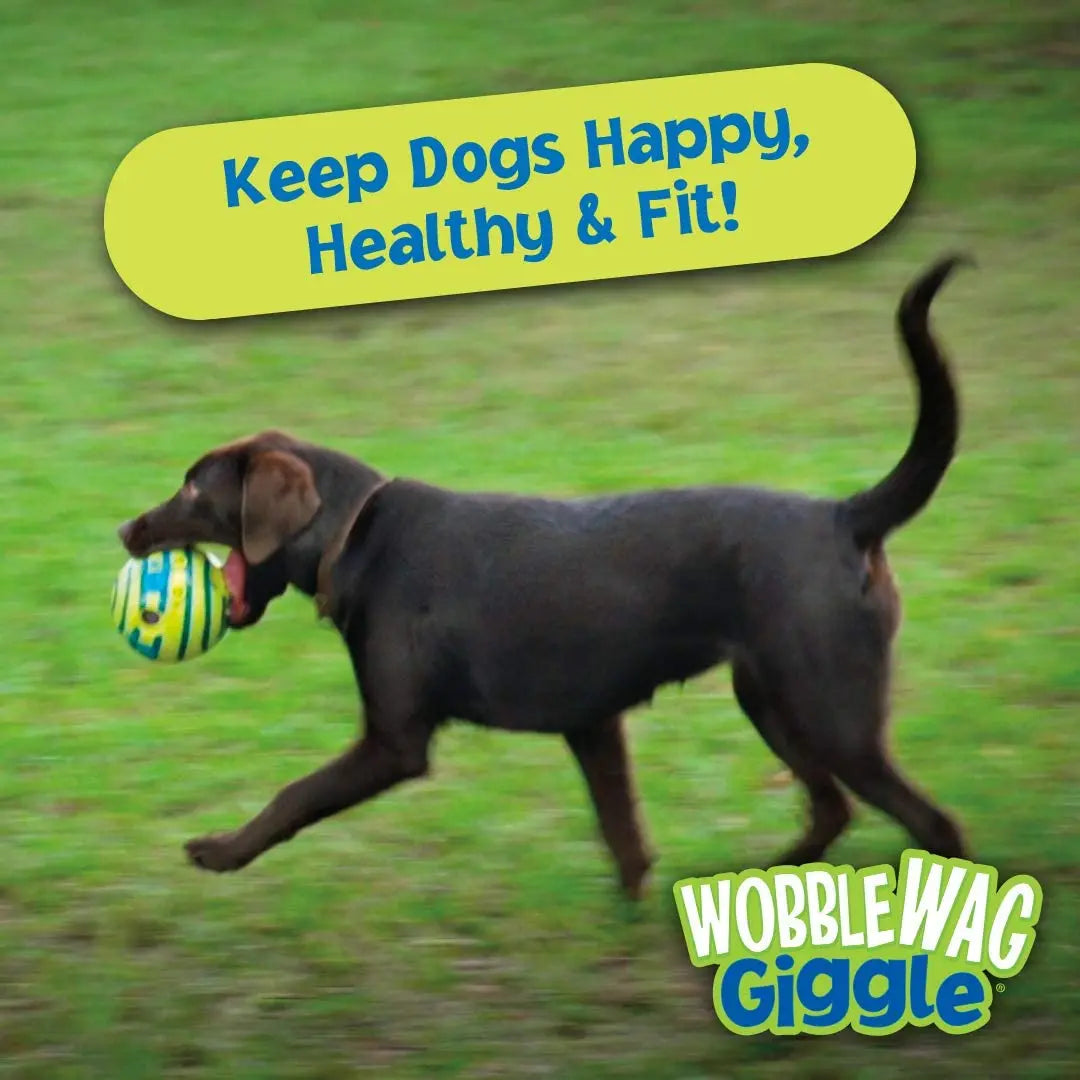 Wobble Wag Giggle Glow Ball Interactive Dog Toy