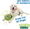 Wobble Wag Giggle Glow Ball Interactive Dog Toy