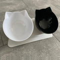 -Slip Double Pet Bowl