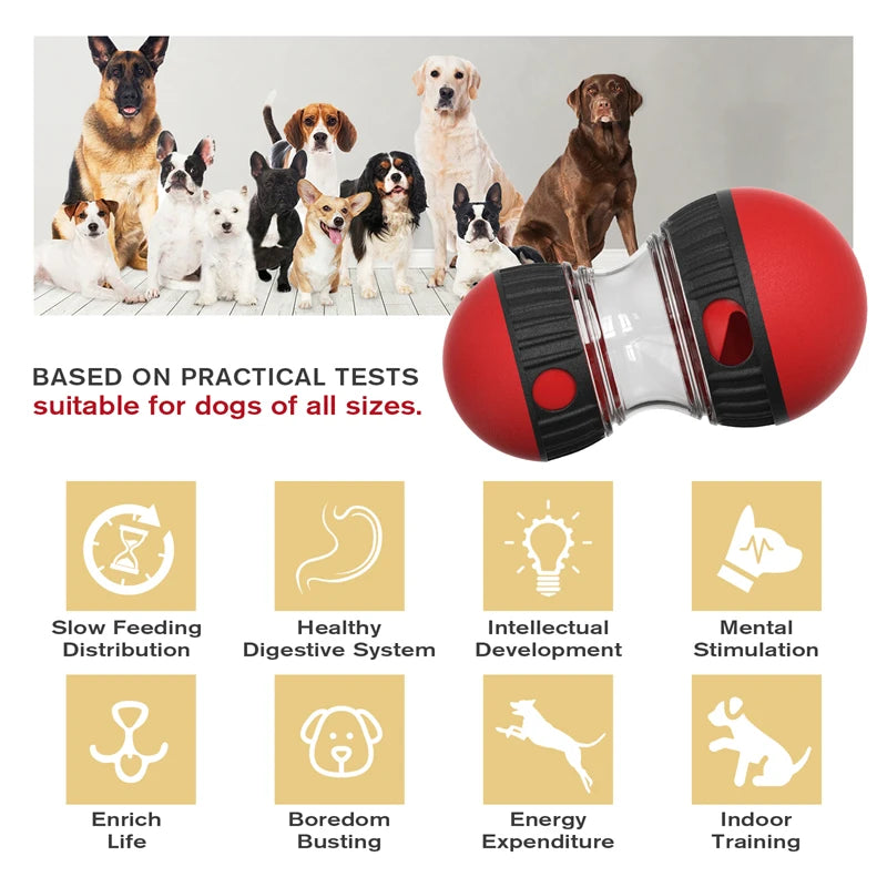 Dog Toys Increase Intelligence Elliptical Track Rolling Ball