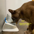 -Slip Double Pet Bowl